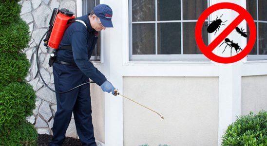 Keşan Tahtakurusu İlaçlama böcek ilaçlama ve haşere kontrolü — ilaclama-tr.com